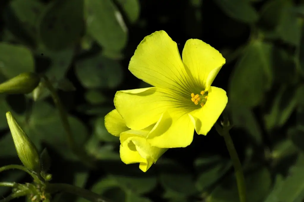 Les conférences environnement en Méditerranée porte des Maures