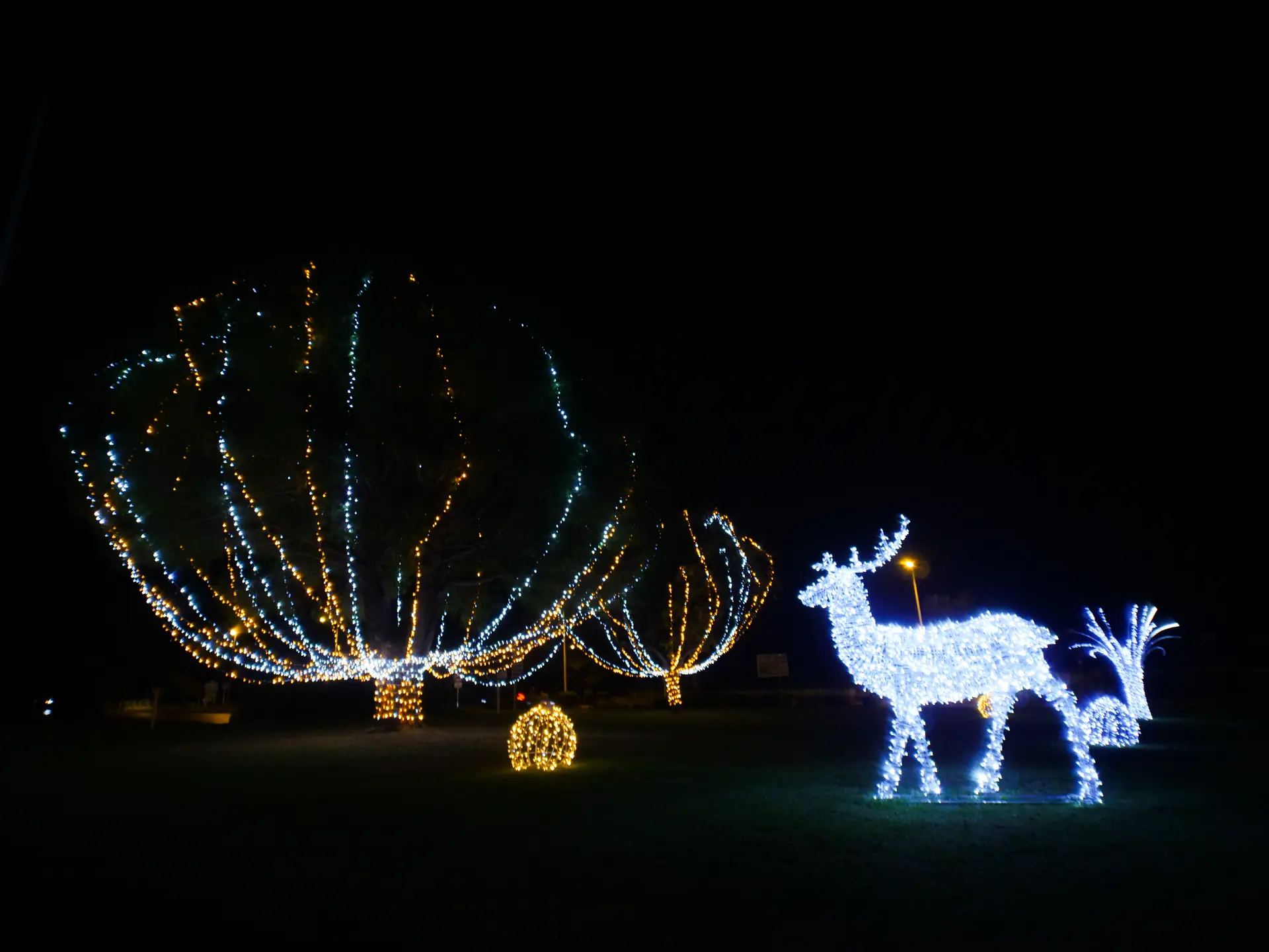 Lancement des illuminations à Saint-Cyr-sur-Mer