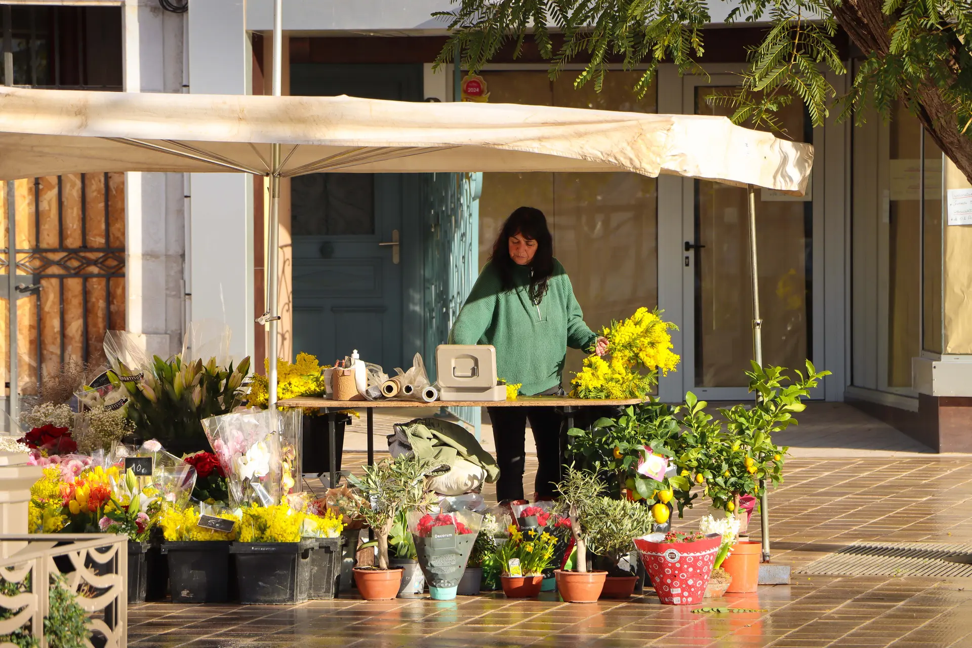 Marché aux Fleurs_Sanary-sur-Mer