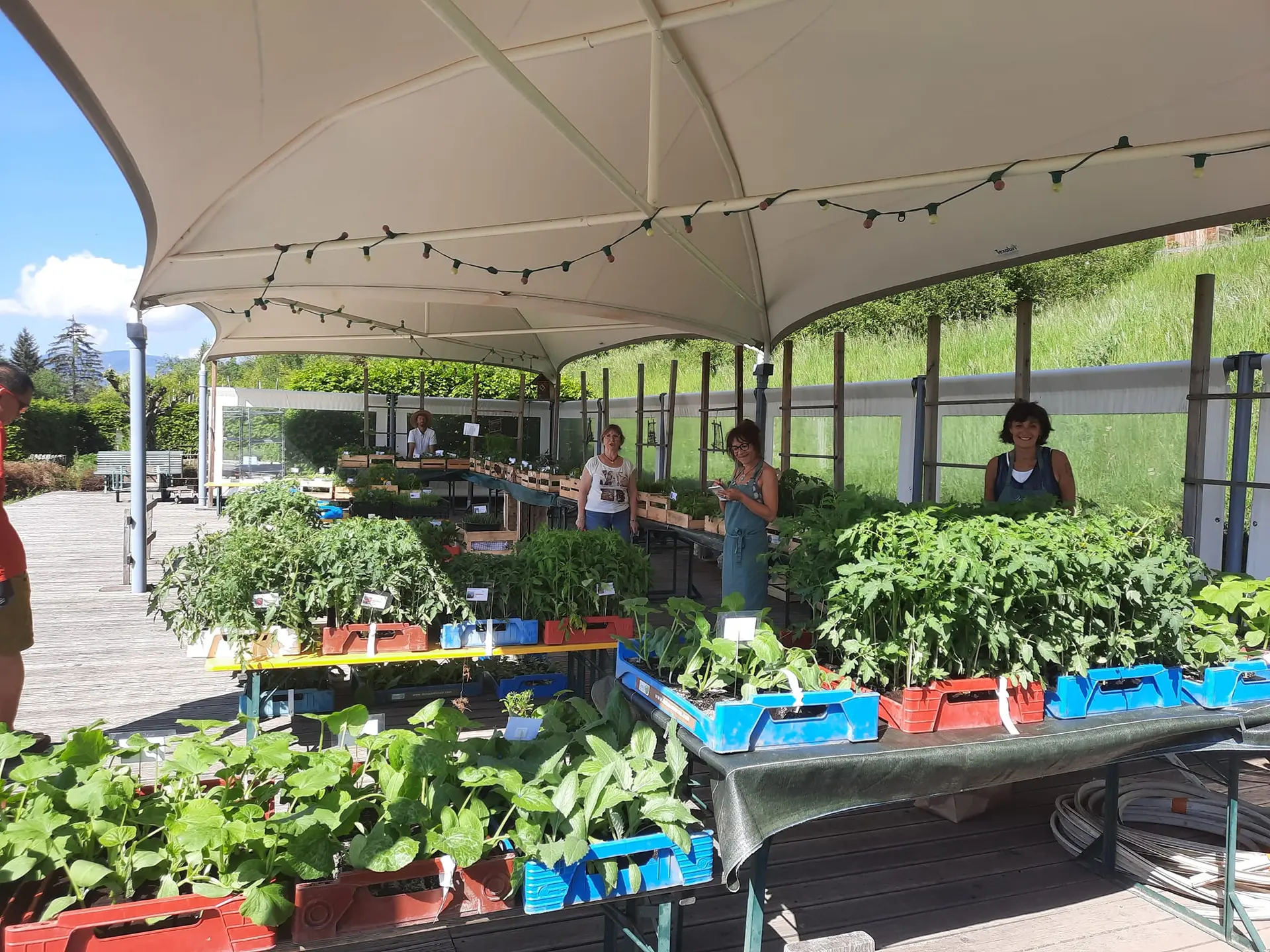 Foire aux Plantes