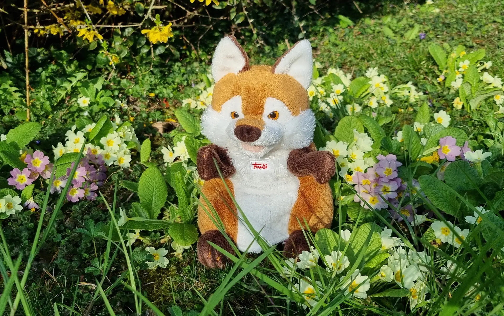 Photo d'une peluche renard dans l'herbe