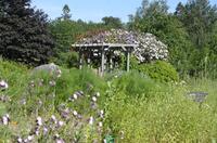 Visite Animée de l ’Herbularium (Saint-Brisson) | Office de tourisme d ...