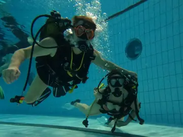 Baptêmes de plongée en piscine 5