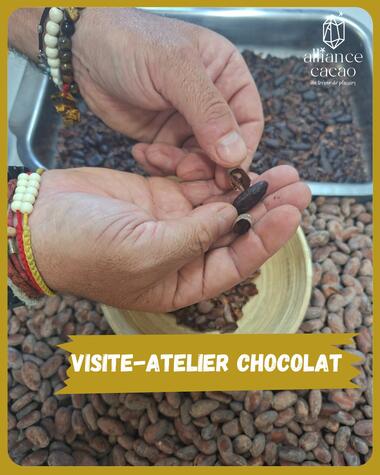 Alliance cacao