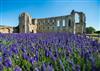 2-Abbaye-Maillezais--Credit-David-Fugere