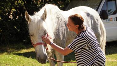 relais-equinoxe-st-remy-2