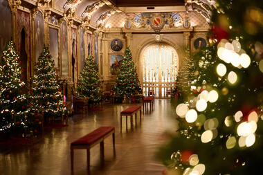 Château de Maintenon - L'Hiver aux merveilles ST2_0040