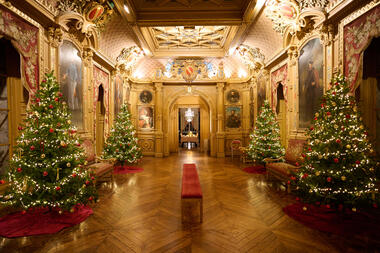 Château de Maintenon - L'Hiver aux merveilles ST2_0051