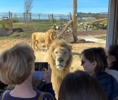 Rencontrez les pensionnaires du refuge La Tanière ©Sophie_Fernandes Petitot.jpeg