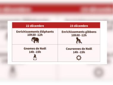 format tourinsoft - 1