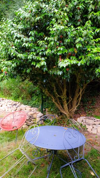 le jardin
