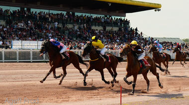 HIPPODROME MAURE DE BRETAGNE