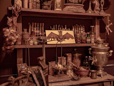 exposition_chimerologie_camille-renversade_centre-arthurien-comper_Brocéliande