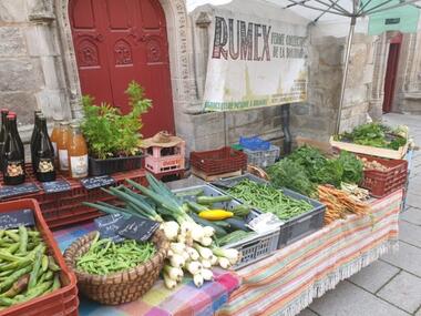ferme_la-bouvrais-rumex_maraichage_brebis_Concoret_DestinationBroceliande