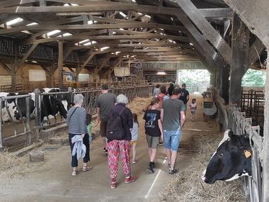 Un_apres_midi_a_la_ferme_Queheon