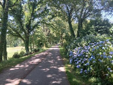 Chambre - hôtes - Le Roux - Ploërmel - Brocéliande - Morbihan - Bretagne
