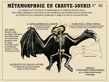 chimerologie_CentreArthurien_Comper_Concoret_DestinationBrocéliande