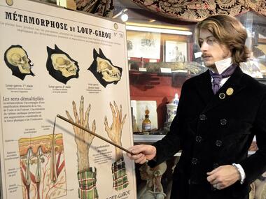 exposition_chimerologie_camille-renversade_centre-arthurien-comper_Brocéliande