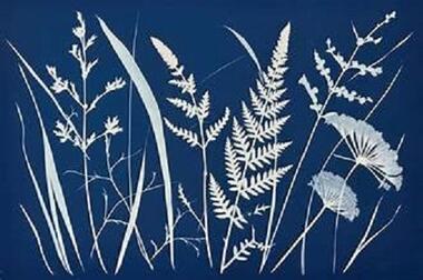 Cyanotype