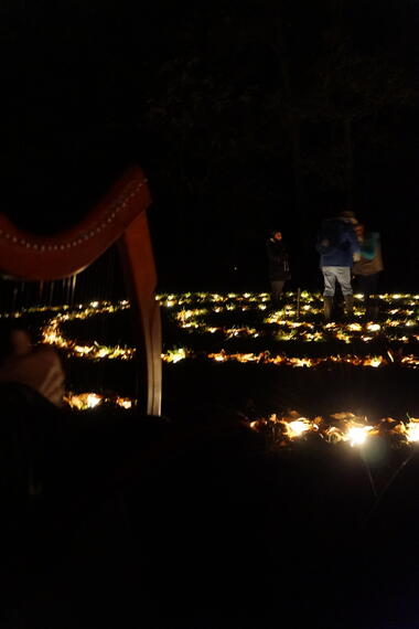 NuitFéériqueEnForet_Mohon_DestinationBrocéliande