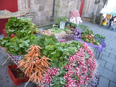 ferme_la-bouvrais_maraichage_brebis_Concoret_DestinationBroceliande