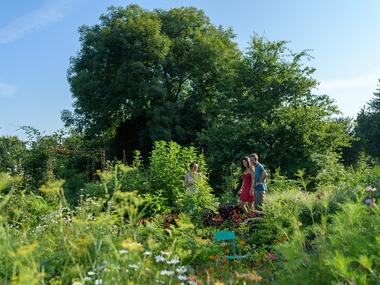 Des heures dehors - jardins comestibles - Ploërmel - Morbihan - Bretagne