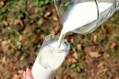 Fête du lait