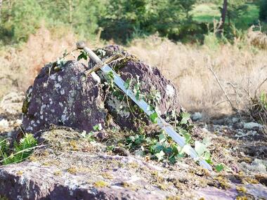 journée-en-broceliande-flore-et-legendes_contes_DestinationBroceliande