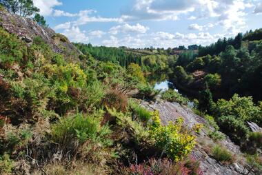 Vallon de la chambre au Loup