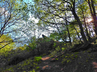 Chambre au Loup