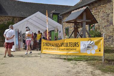 Extraction du miel, Apiculteurs Ille-et-Vilaine
