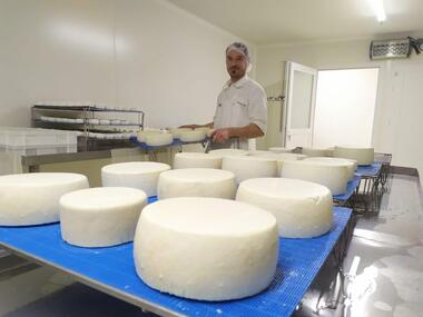 Les fromages de la ferme de choupette