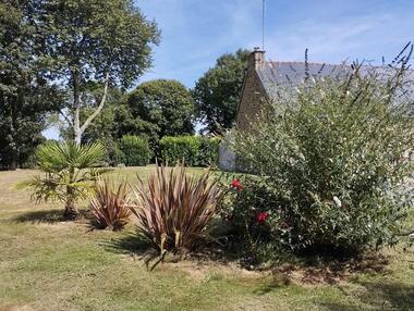 Gîte - Ty Breizhou - Forges de Lanouée - Brocéliande - Bretagne