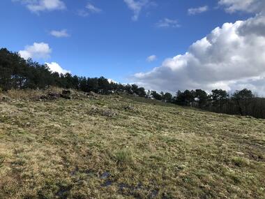 landes_broceliande_Morbihan