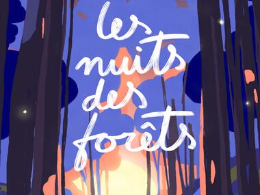 nuitsdesforets_broceliande_Trehorenteuc