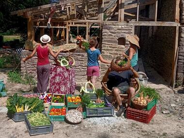 ferme_la-bouvrais-rumex_maraichage_brebis_Concoret_DestinationBroceliande