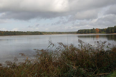 Chasse aux trésors sur les traces de Merlin à Paimpont
