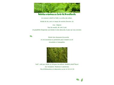 Balades créatives en forêt de Brocéliande-page0001