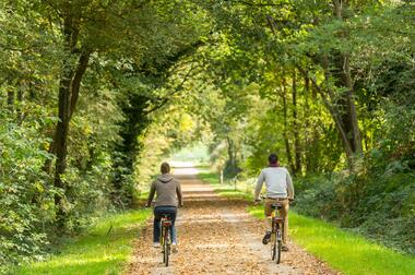 Brocéliande Bike ©BERTHIER-E