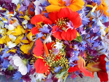 Balades gourmandises florales - Ploërmel - Brocéliande - Bretagne