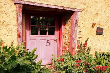 Chélidoine porte d'entrée