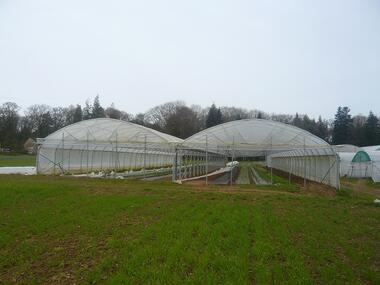 ESAT St Marcel vente directe bio - Morbihan - Bretagne