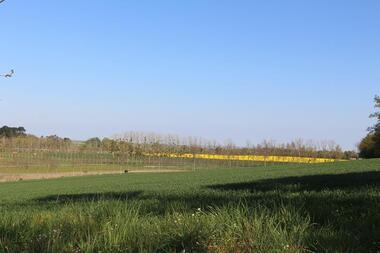 Campagne de Saint-Pern