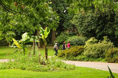 Parc municipal Montfort sur Meu