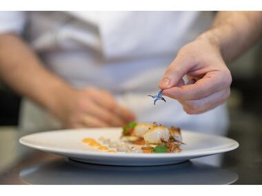 LaGreeDesLandes_Cuisine