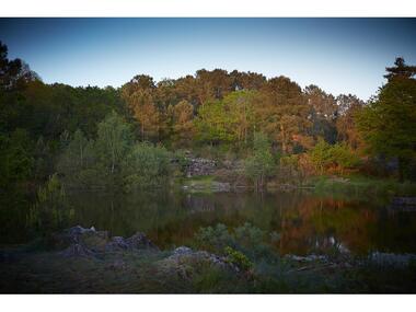 Site naturel-Landes de Monteneuf-Brocéliande-Bretagne