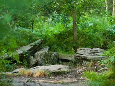 Tombeau du Géant - Campénéac - Brocéliande - Bretagne