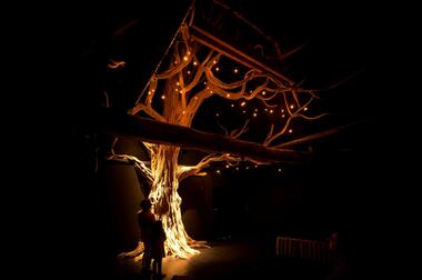 arbremaitre©EmmanuelBerthier