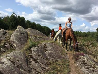 Chevaux_de_Brocéliande_centre_équestre_Tréhorenteuc