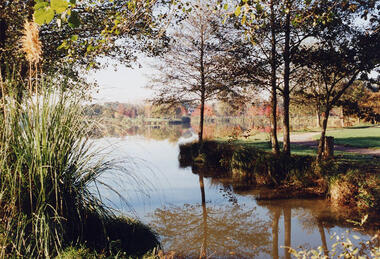 etang-2-OT-La-Gacilly